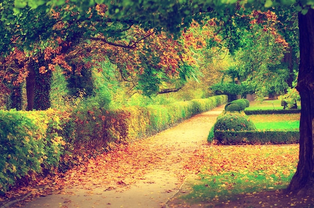 Beau parc d'automne