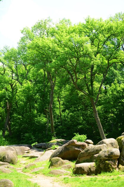 Beau parc à l'extérieur