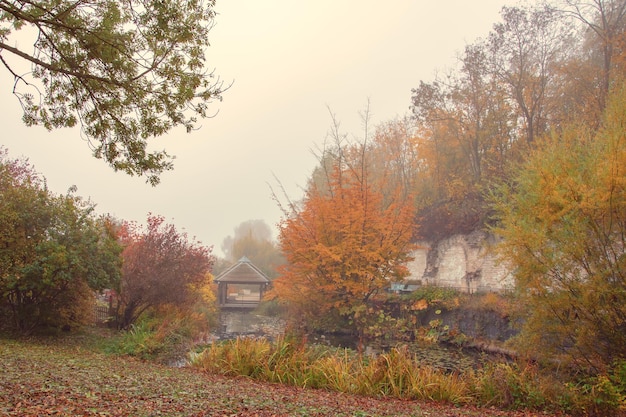 Beau parc de fond d'automne