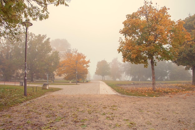 Beau parc de fond d'automne