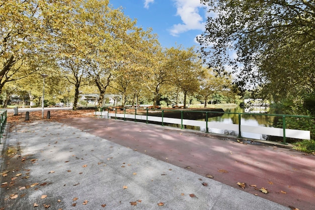 Photo beau parc avec un lac et de nombreux arbres