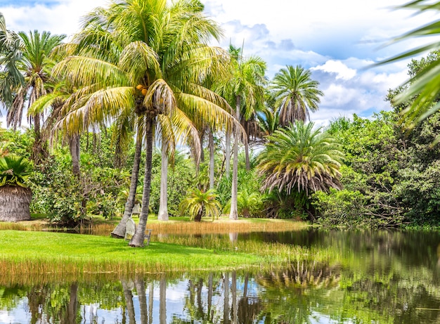 Beau parc avec nature tropicale et palmiers