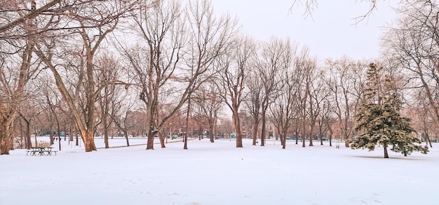 beau parc par temps froid et neige