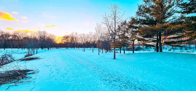 beau parc sous la neige