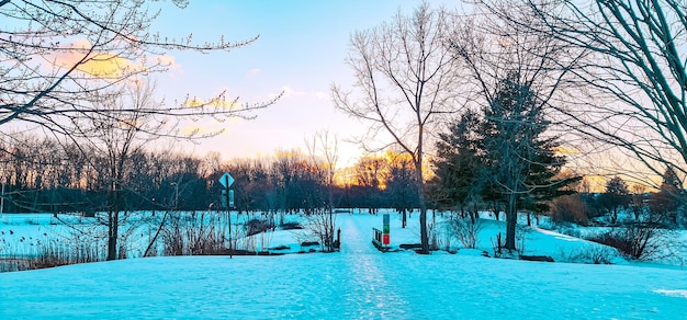 beau parc sous la neige