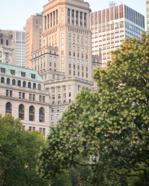 Beau parc verdoyant en été NY