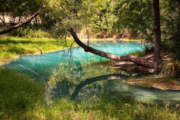 Beau parc verdoyant en été avec une rivière bleue