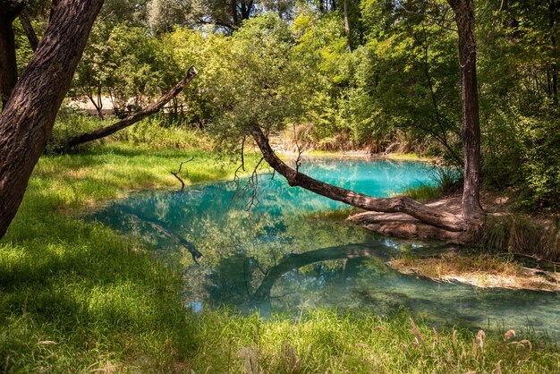 Beau parc verdoyant en été avec une rivière bleue