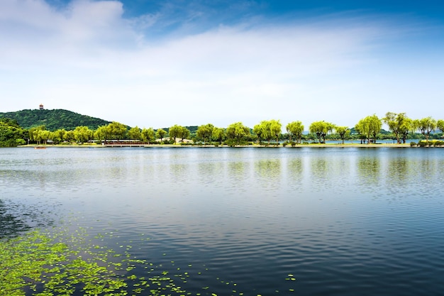 Beau parc de la ville au bord du lac