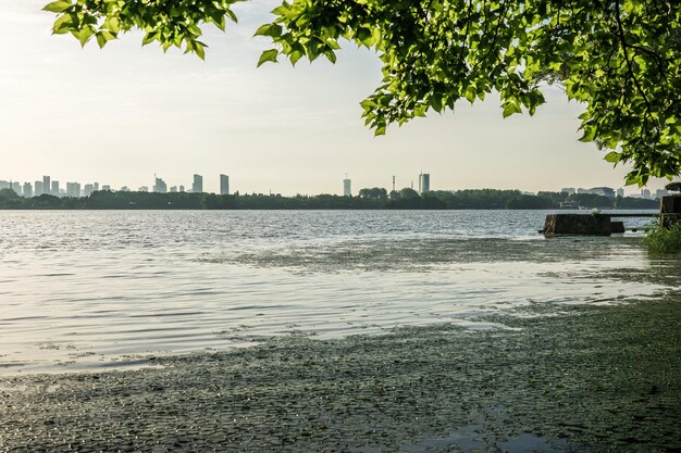 Beau parc de la ville au bord du lac