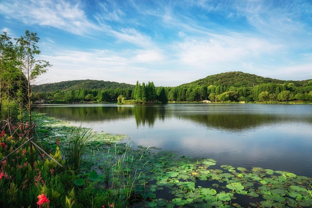 Beau parc de la ville au bord du lac