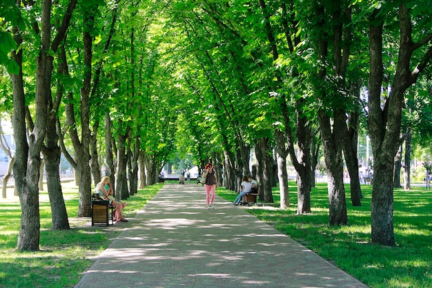 Beau parc de la ville avec des bancs de promenade et de grands arbres verts Parc de la ville au printemps Les gens se reposent dans le parc de la ville