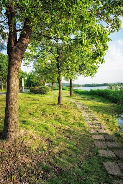 Beau parc de la ville avec lac, arbres et montagnes