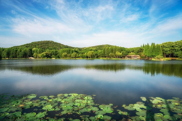 Beau parc de la ville avec lac, arbres et montagnes