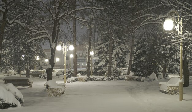 Beau parc de la ville lors de fortes chutes de neige avec beaucoup de neige