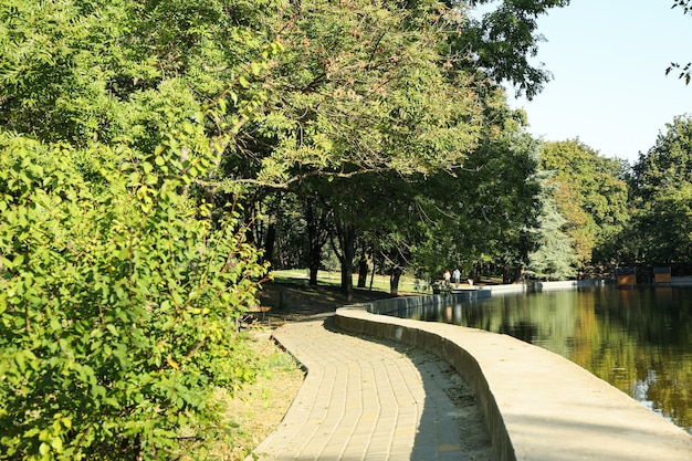 Photo beau parc de la ville en matinée ensoleillée