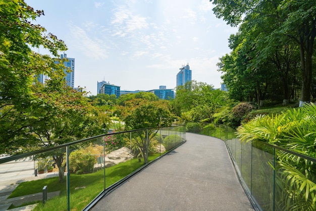 Beau parc de zones humides et horizon urbain à Chongqing en Chine