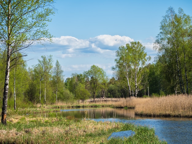 Beau paysage d'après-midi d'été