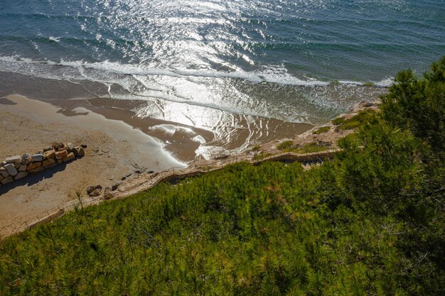 Beau paysage avec des arbres de plage et des escaliers