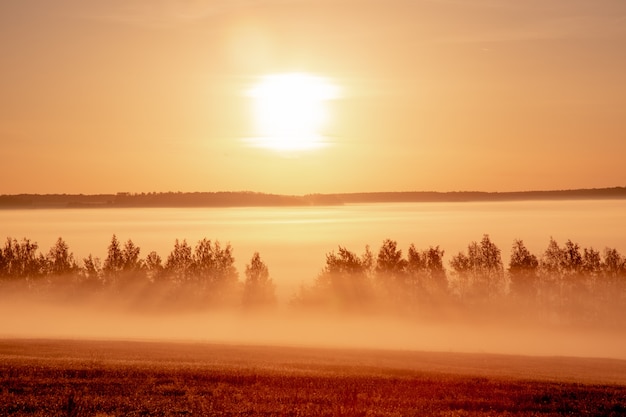 Beau paysage au lever du soleil en été