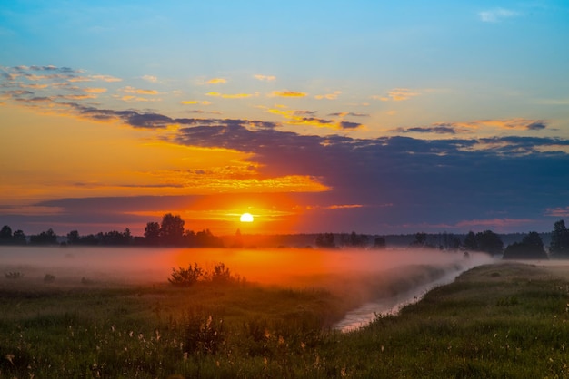 Beau paysage au lever du soleil sur fond de forêt