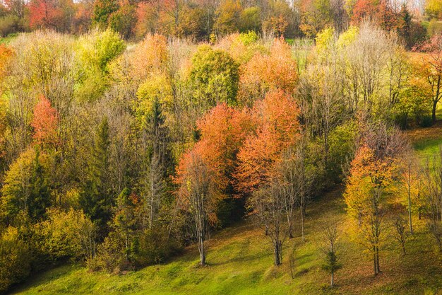 Beau paysage automnal de pays dans les montagnes des Carpates