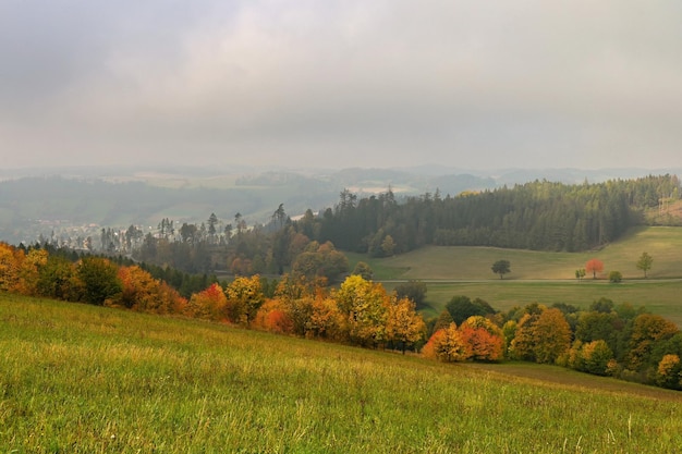 Beau paysage d'automne avec des arbres colorés Fond de nature avec brouillard et paysage rural