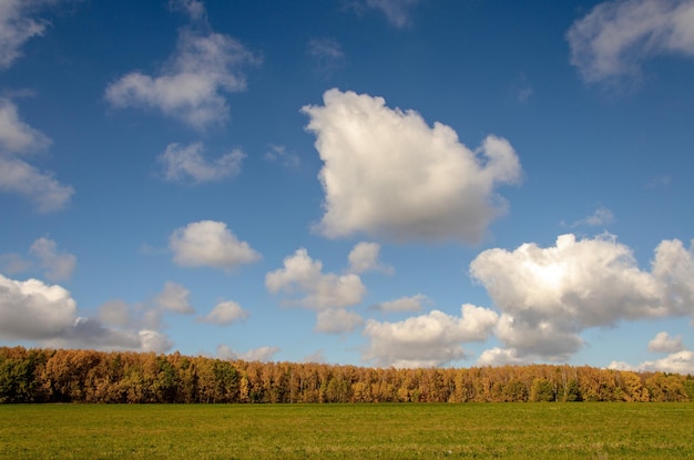 Beau paysage d'automne Calme journée chaude et ensoleillée Des nuages moelleux se répandent doucement au-dessus de la forêt et du champ colorés