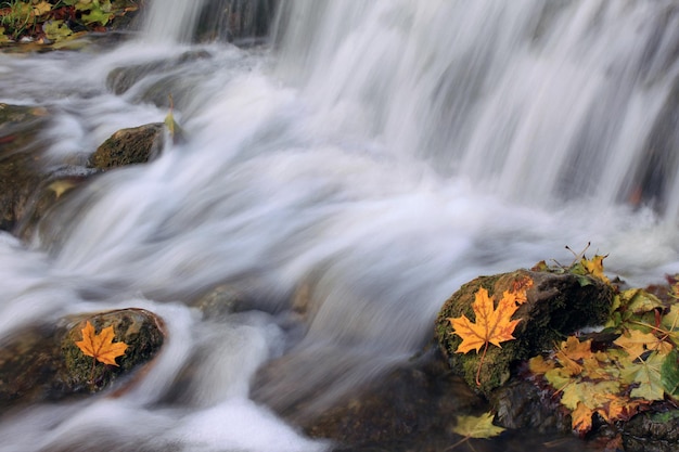 Beau paysage d'automne avec une cascade dans la forêt d'automne