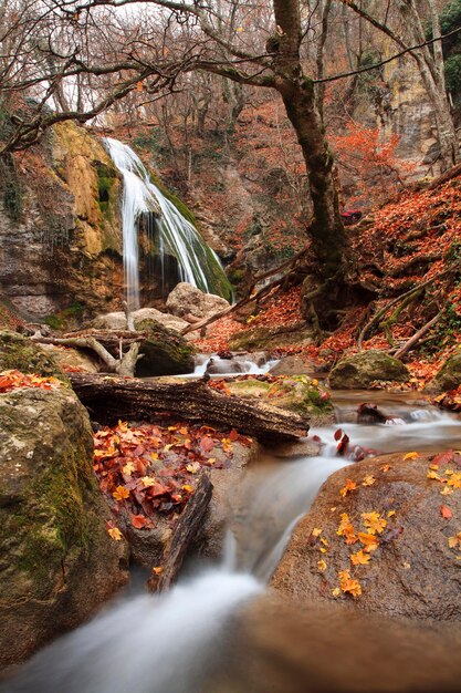 Beau paysage d'automne avec une cascade dans la forêt d'automne