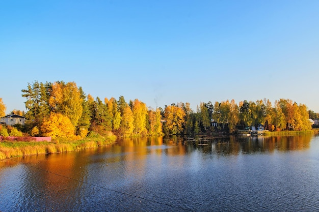 Beau paysage d'automne sur le fond de la rivière. Feuilles d'arbres lumineuses colorées, rouges, oranges, jaunes, vertes.