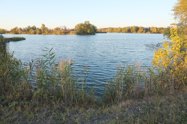 Beau paysage d'automne avec lac et arbres multicolores Endroit pittoresque avec lac et grands arbres