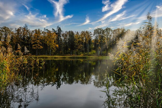 Beau paysage d'automne près de l'étang du parc de la ville