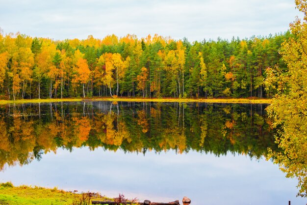 Beau paysage d'automne. Réflexion de la forêt d'automne dans le lac.