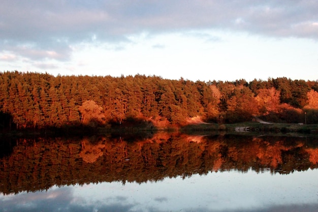 Beau paysage d'automne avec rivière et arbres le soir