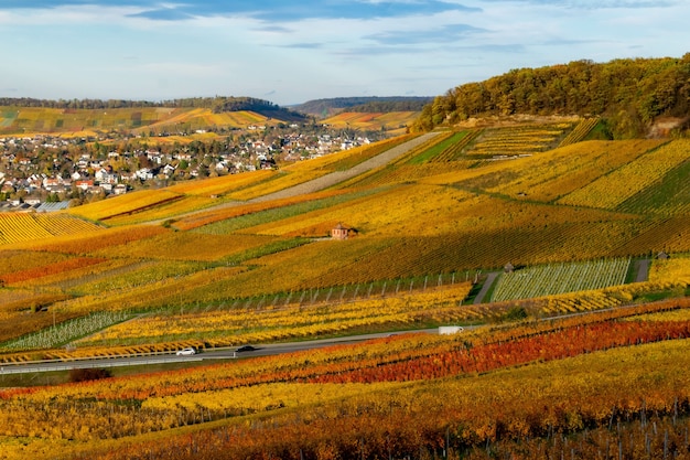 Beau paysage d'automne avec des vignobles colorés