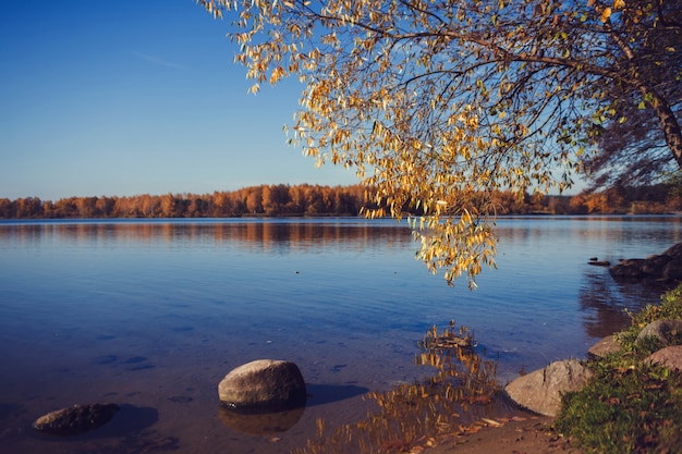 Beau paysage d'automne