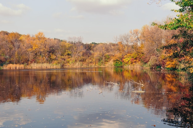 Beau paysage d'automne