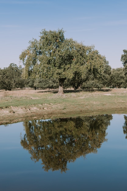 Beau paysage des berges d&#39;une rivière