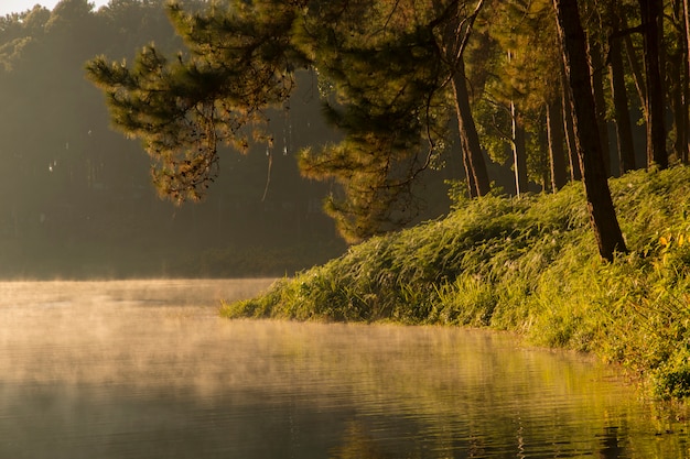 Beau paysage - brouillard sur le lac le matin