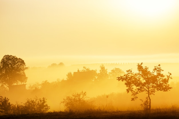 Beau paysage brumeux pendant un lever de soleil incroyable avec maison, arbres et vignobles. Moravie du Sud, République tchèque.