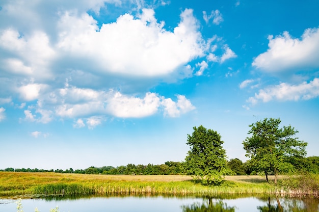 Beau paysage calme de la rivière