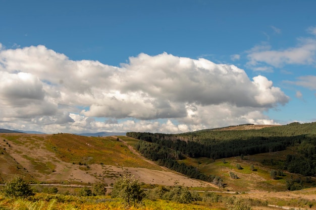 Un beau paysage de campagne sous un ciel maussade