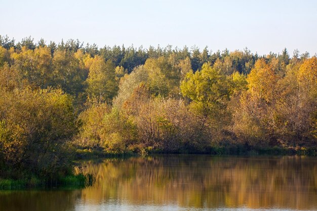 Beau paysage Champ et lisière de forêt