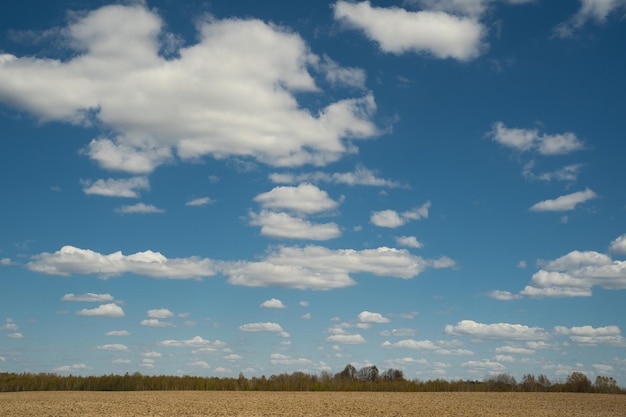 Beau paysage de ciel bleu avec nuages et champ en Ukraine