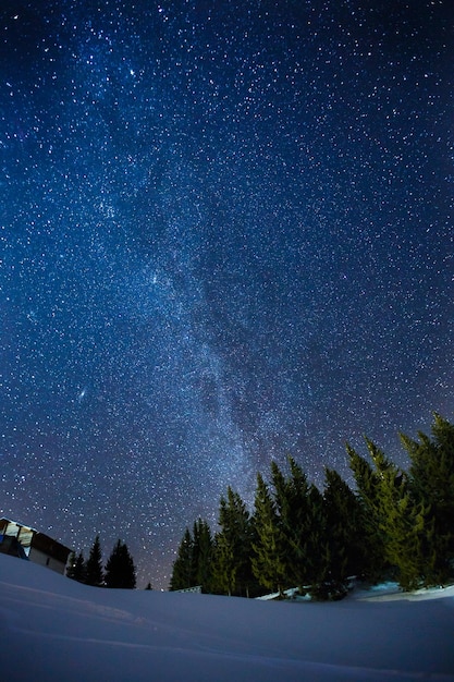 Beau paysage d'un ciel étoilé d'hiver nocturne au-dessus d'une forêt de pins photo longue exposition d'étoiles de minuit et de paysages de bois enneigés