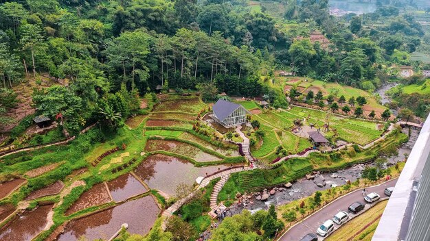 Photo beau paysage de colline et rizière avec rivière qui coule, bogor indonésie