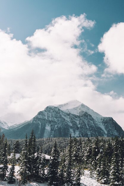 Beau paysage de collines couvertes de neige