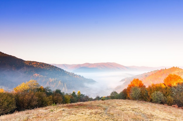 Beau paysage avec des collines et des montagnes