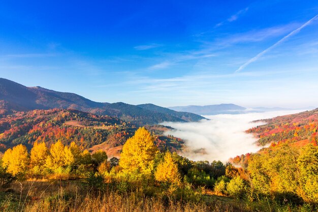 Beau paysage avec des collines et des montagnes